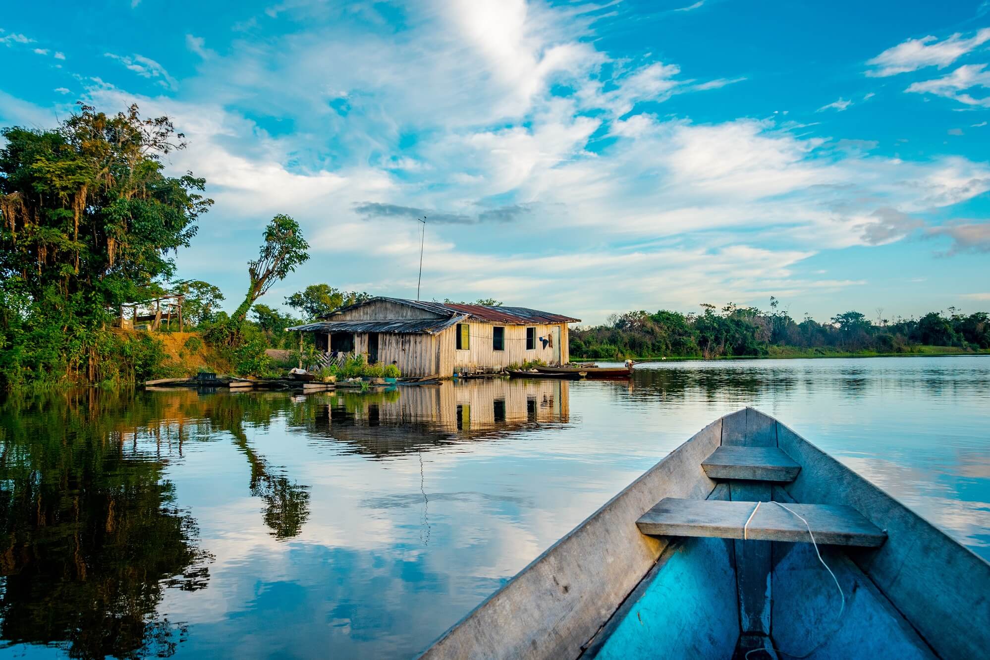 Notre Vision Notre Raison D Tre Amazonia Wild Experience