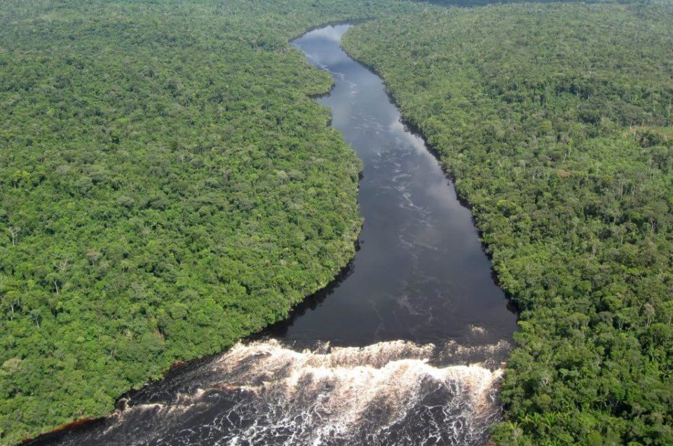 Vue aérienne fleuve amazonie