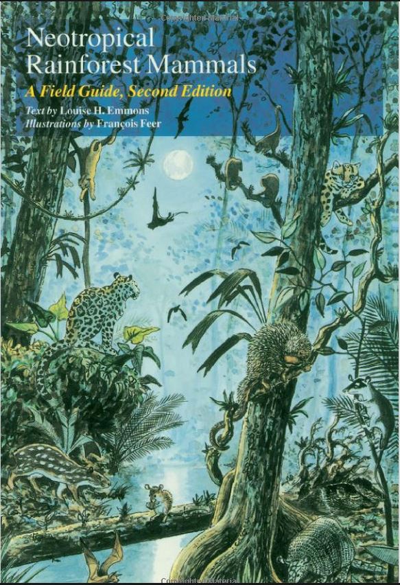books cover Neotropical rainforest mammals
